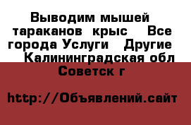 Выводим мышей ,тараканов, крыс. - Все города Услуги » Другие   . Калининградская обл.,Советск г.